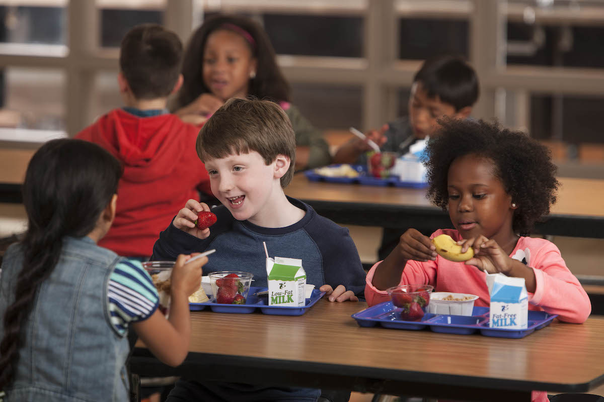 Healthy Snack Ideas for Work and School Made Easy