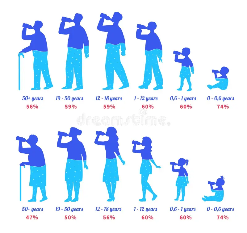 Chart of daily hydration needs for men, women, and children.